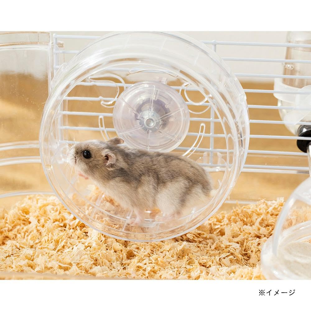 Amazon | カインズ(CAINZ) 観察しやすい ハムスターケージ 幅32cm 奥行