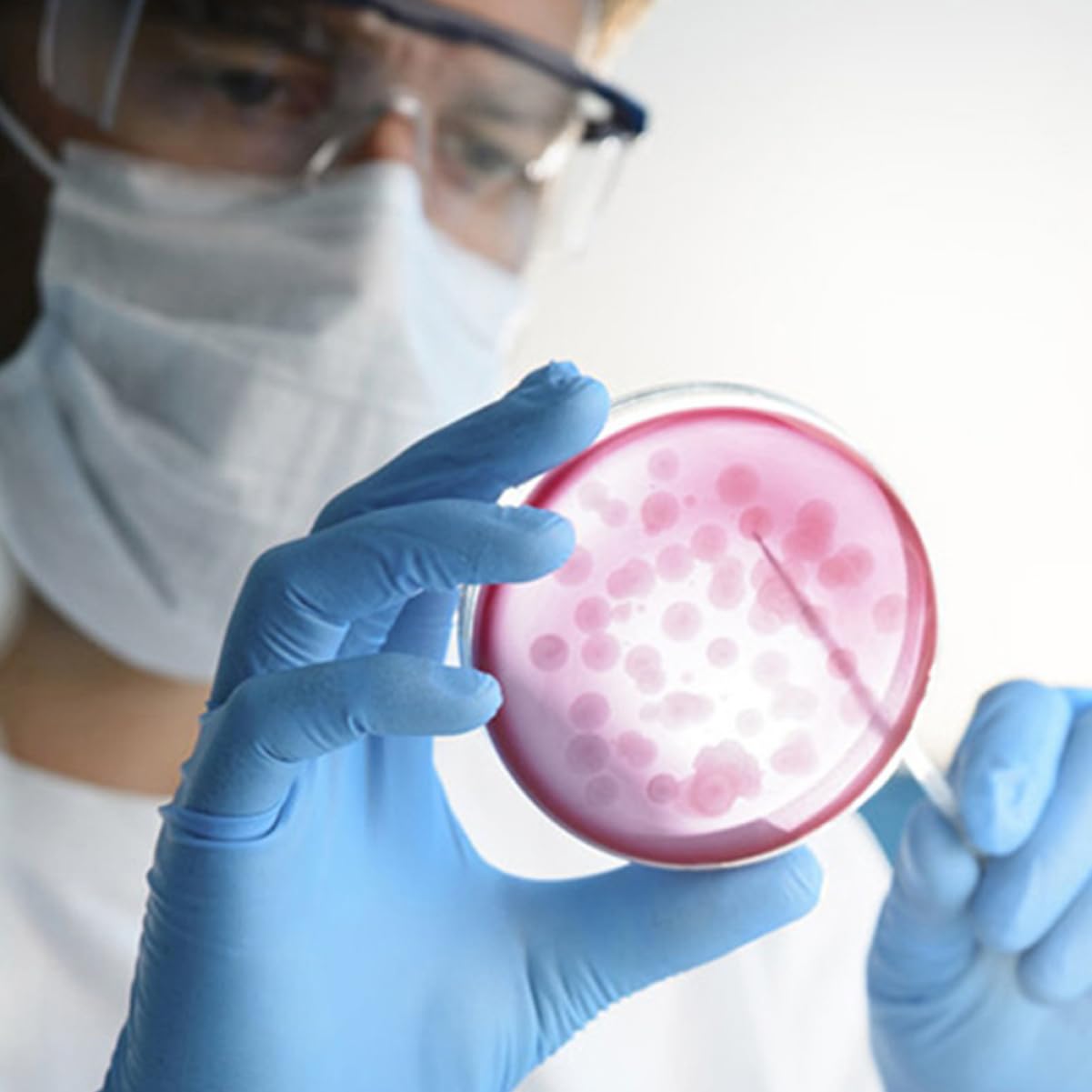 ULTECHNOVO 60piezas Placas De Petri Agar Nutritivo Prellenado Para Experimentos Científicos y De Microorganismos