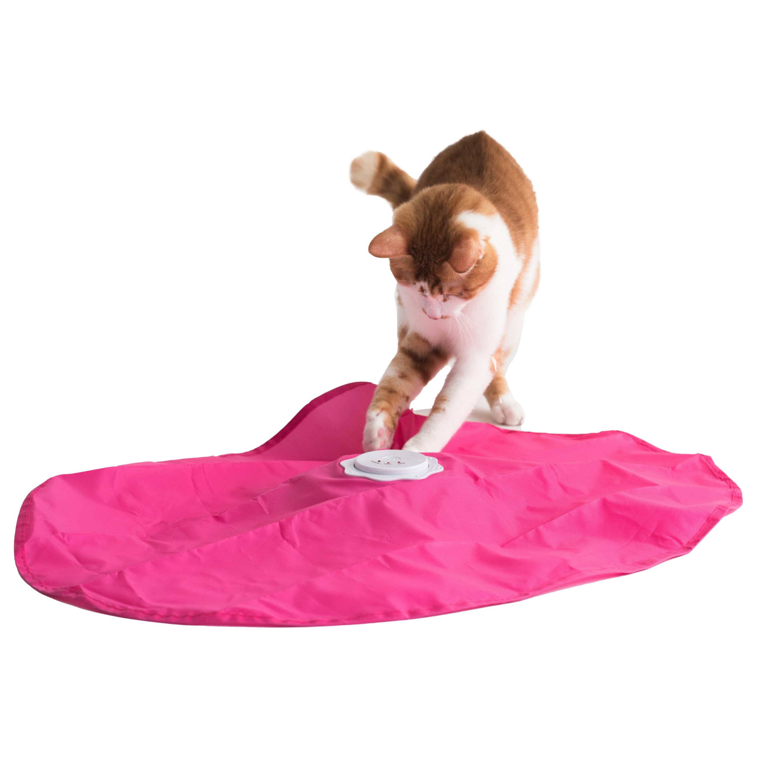Blackhole Catch The Tail Cat Toy Interactive Play-Catch, Electric, Rotating Feather, Motion, Automatic, Best Undercover Mouse Under Blanket Cat Toy