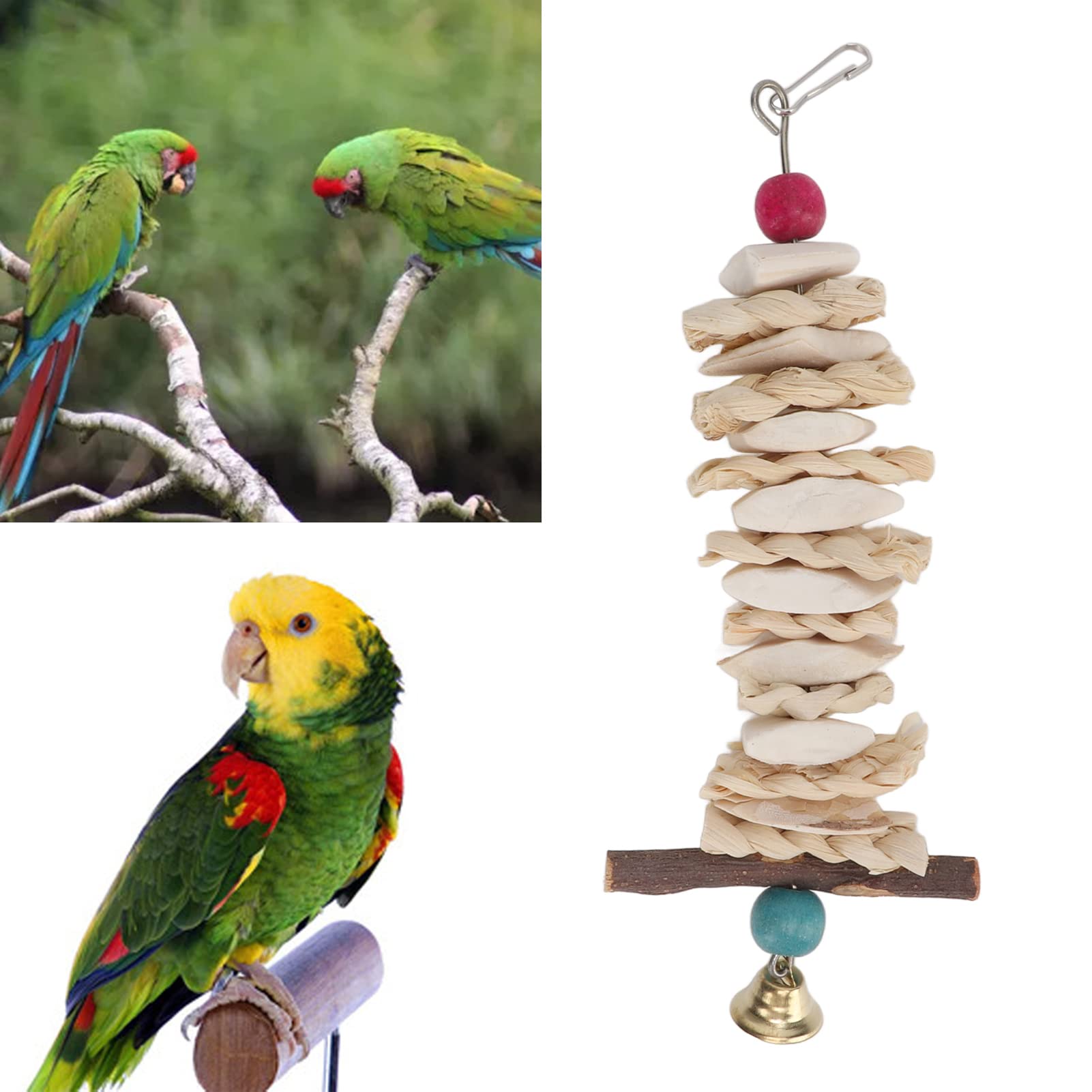 2 Stück Vogel-Schleifspielzeug Mit Cuttlebone-Halter – Aus Kunststoff, Für Sittiche, Finken & Kleine Vögel – Zum Knabbern & Spielen