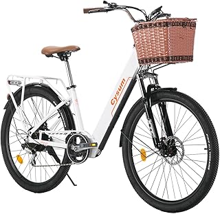 bicicleta elétrica para senhora