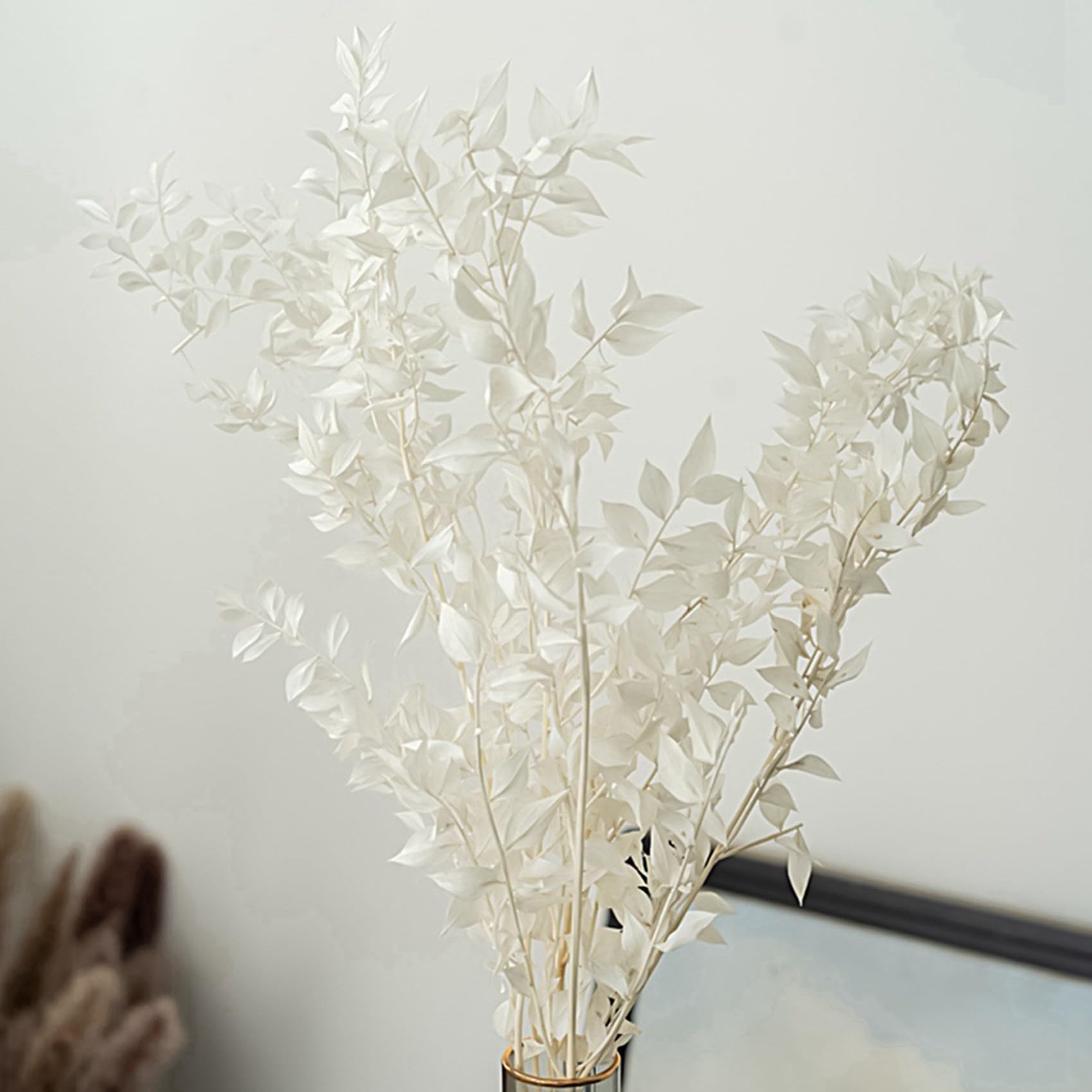 5X 45 cm SéchéEs pour Toujours ConservéEs Ruscus Fleurs Bricolage Décoration Florale Bouquet de Fleurs Sèches pour Mariage Décor à