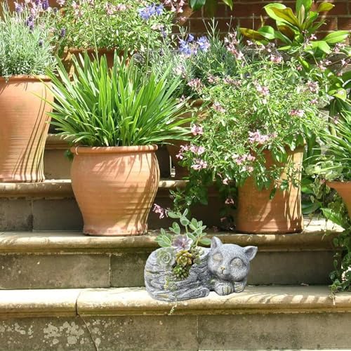 Macetero para gatos durmiendo ideal para regalar a entusiastas 4