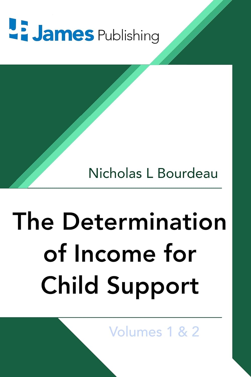 The Determination of Income for Child Support      Kindle Edition