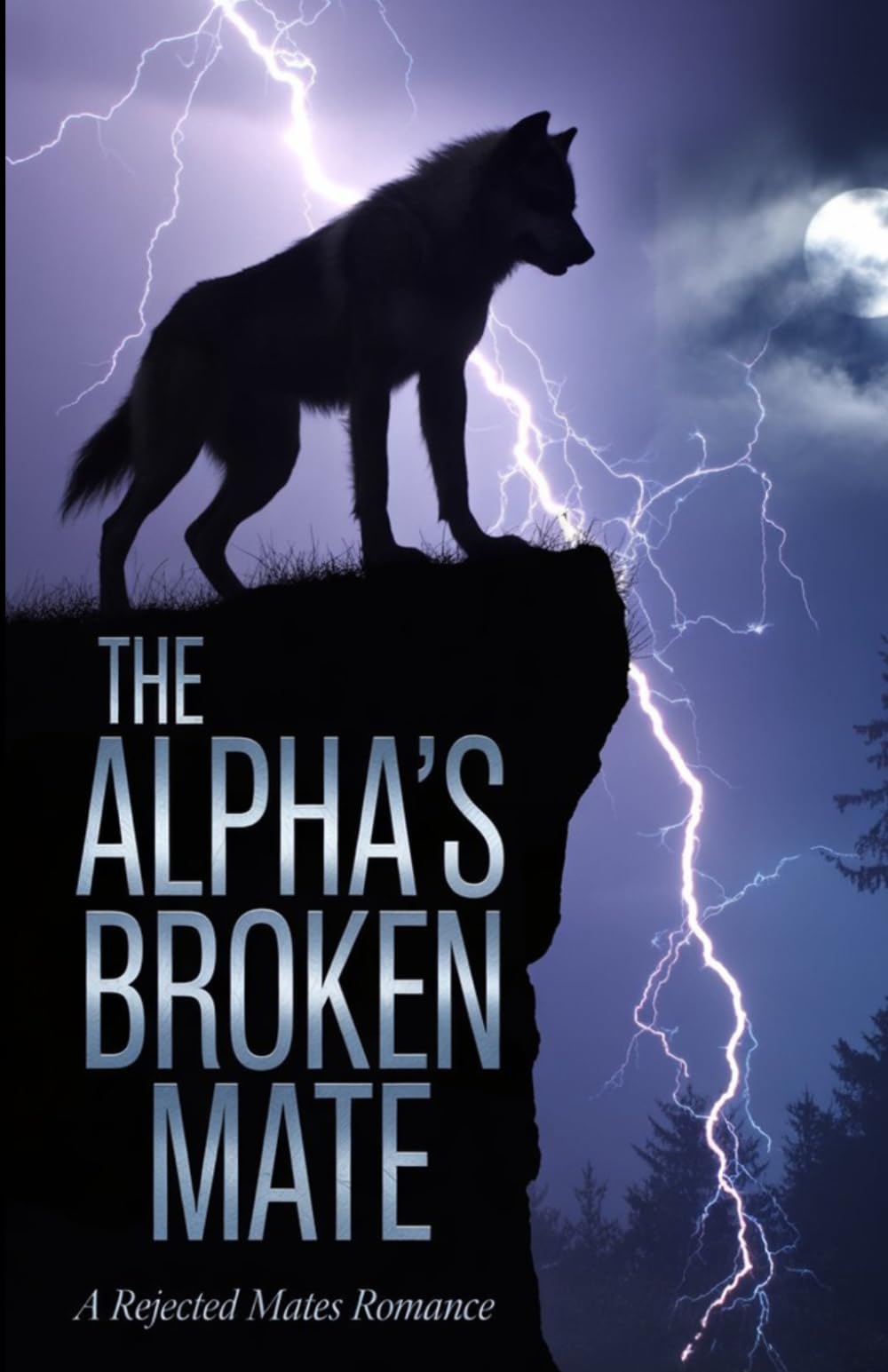 The Alpha's Broken Mate: A Rejected Mates Romance