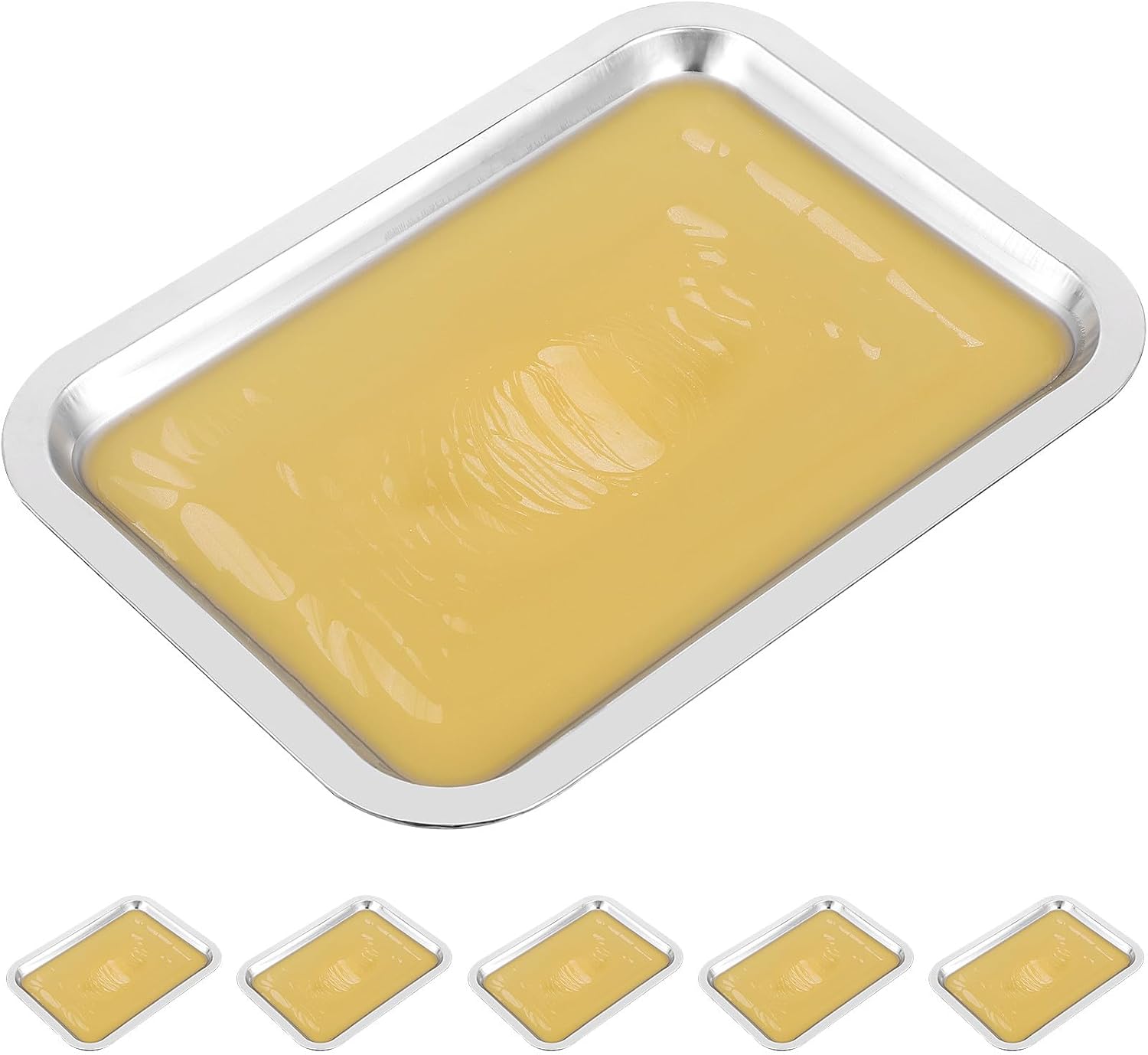 Garneck 6pcs Stainless Steel Dissection Trays, Reusable Lab Wax Laboratory Experiments Dissecting Trays for Educational Use