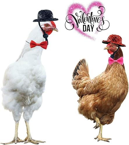 Vehomy Sombreros de pollo para el día de San Valentín y pajarita para gallinas, sombrero de copa de pollo con correa ajustable para barbilla para