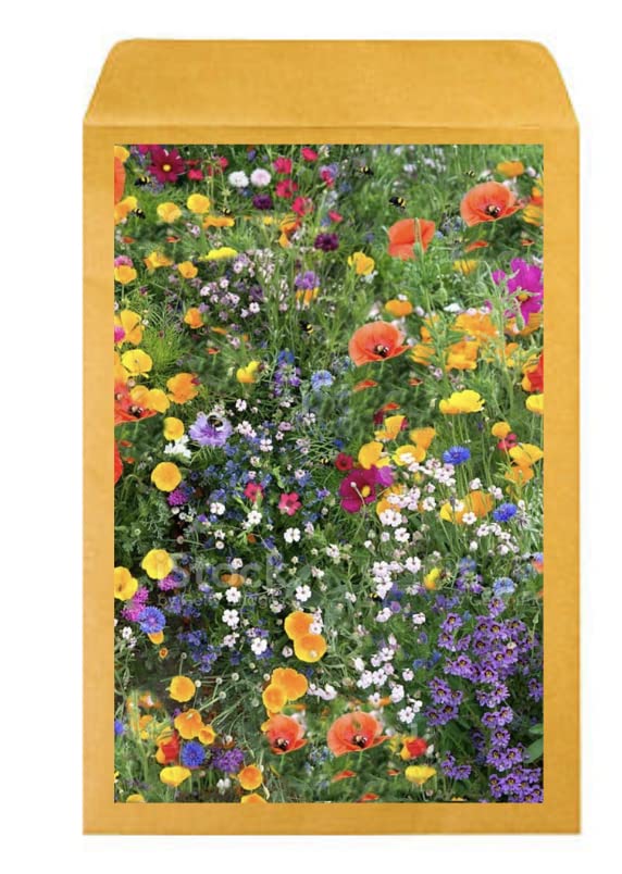 100% Pure Wild Flower Seed Mix 20 Perennial & Annual Meadow Plants Attracts Butterfly & Bees Wildflower Seeds Native UK (250g)