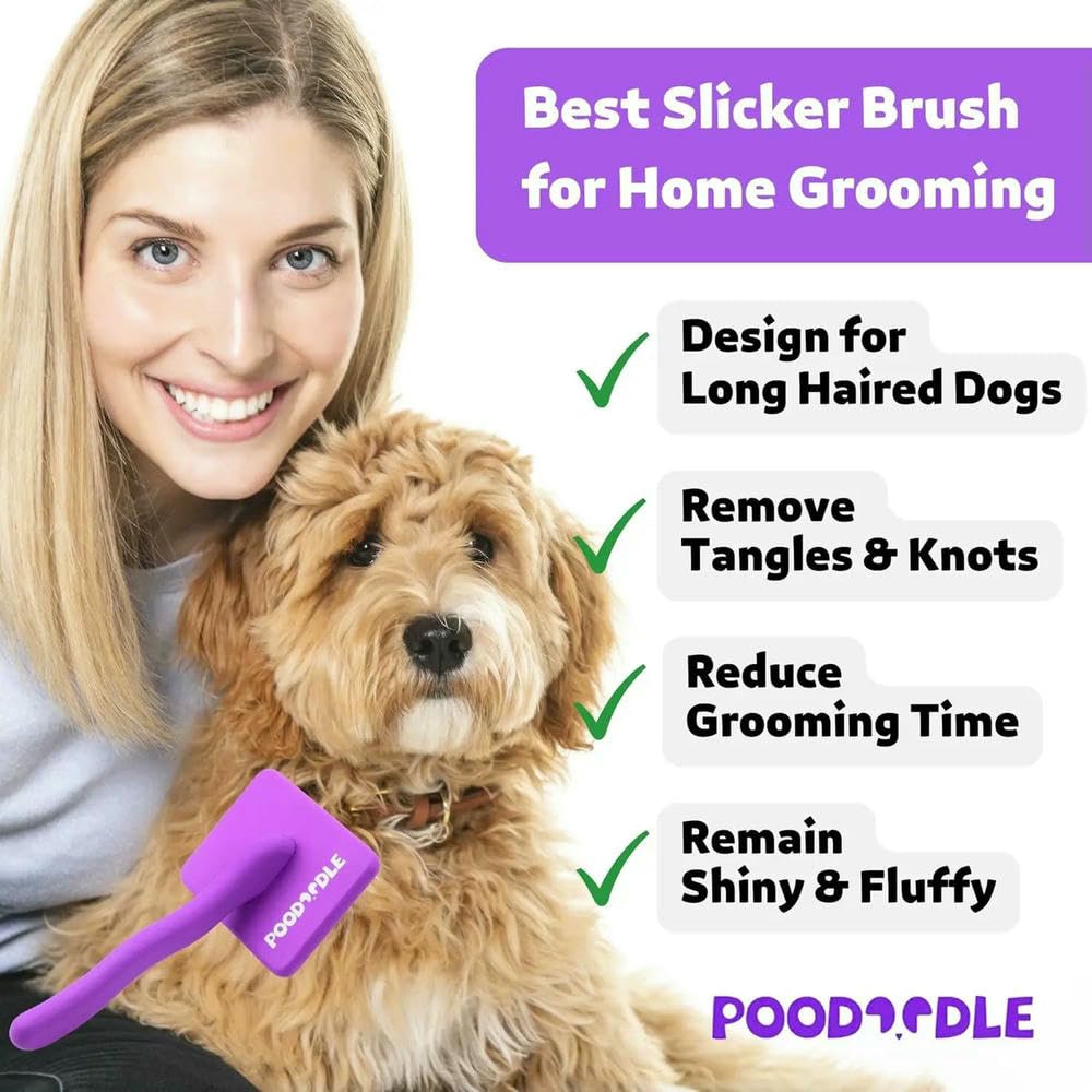 DYRBF - Cepillo para perros para caniche, garabatos y perros de pelo largo, cepillo de madera grande para desenredar y desenredar en casa