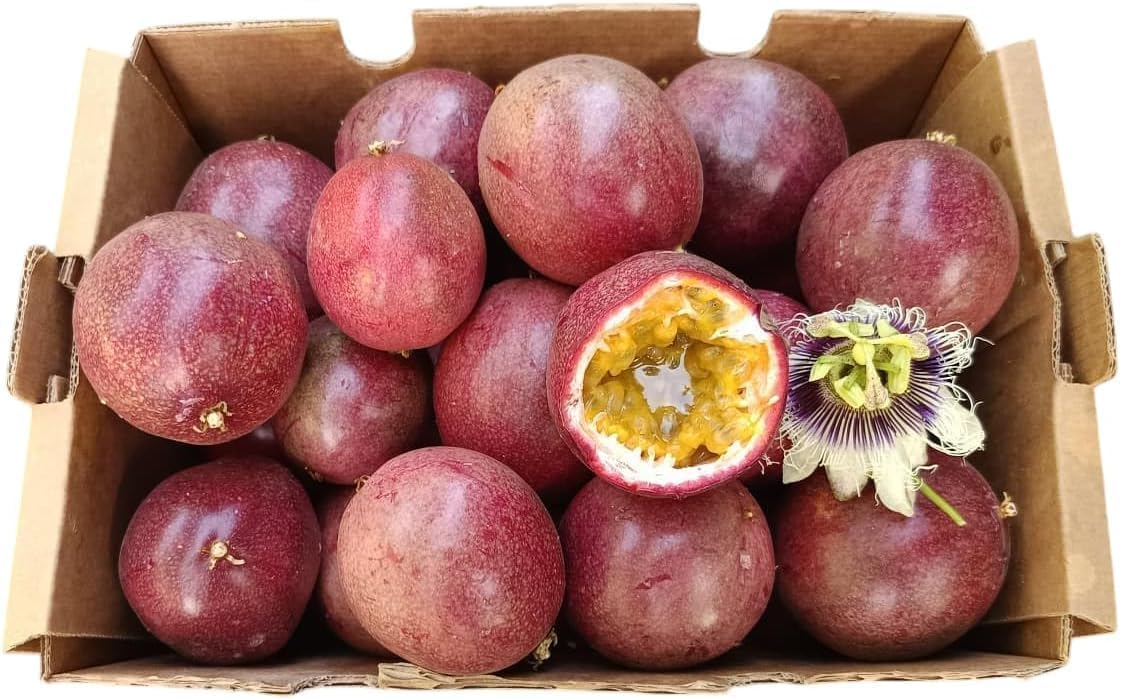 Vitalem – Boîte de maracuja 1,5 kg | Fruit de la passion | Fruit frais tropical de saison | 100% naturel et durable | Culture locale (Málaga) | Passion fruit idéal pour smoothies, milk-shakes et yaou