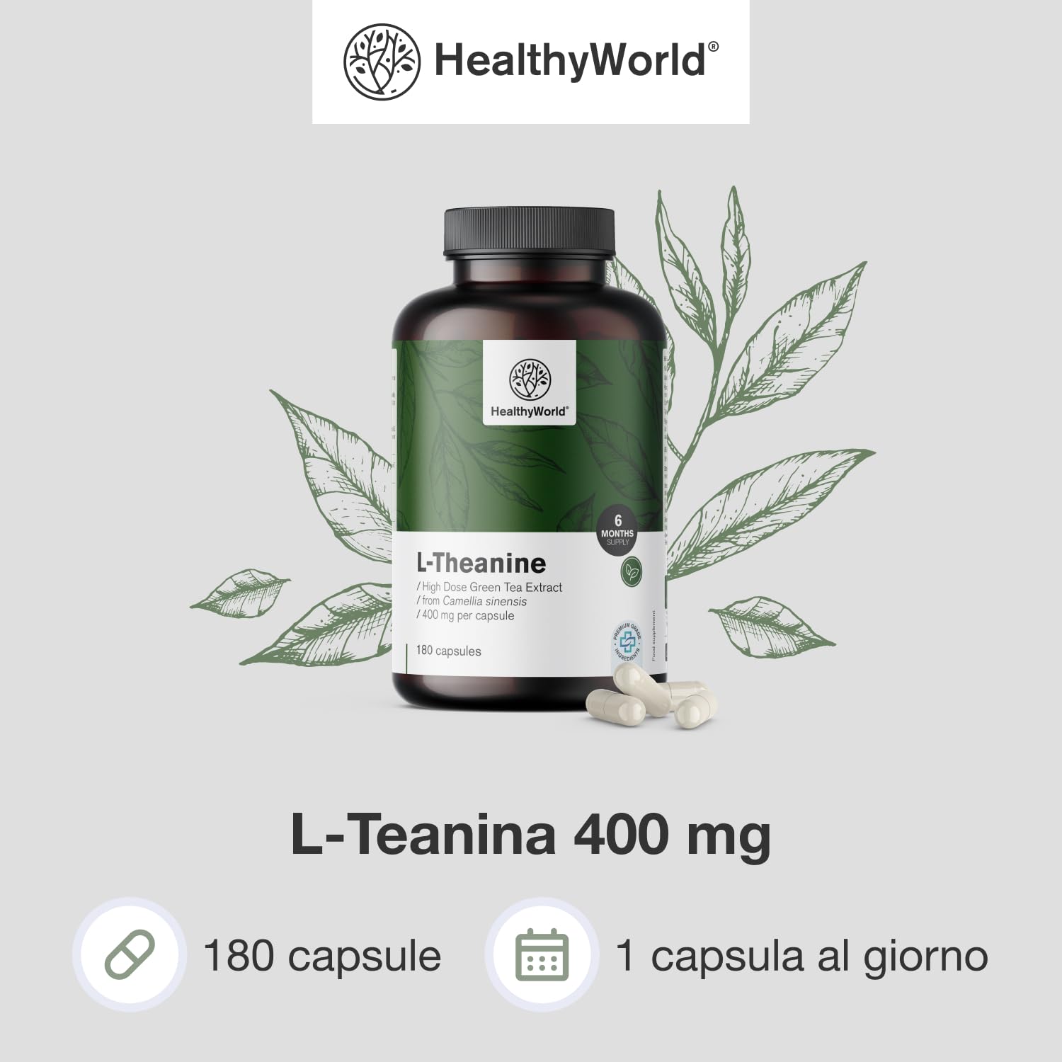 HealthyWorld L-Teanina 400 mg - 180 Capsule - Estratto di tè verde - Alta concentrazione - Aminoacido efficace - Supporto naturale per l'organismo - Vegetariano e non OGM