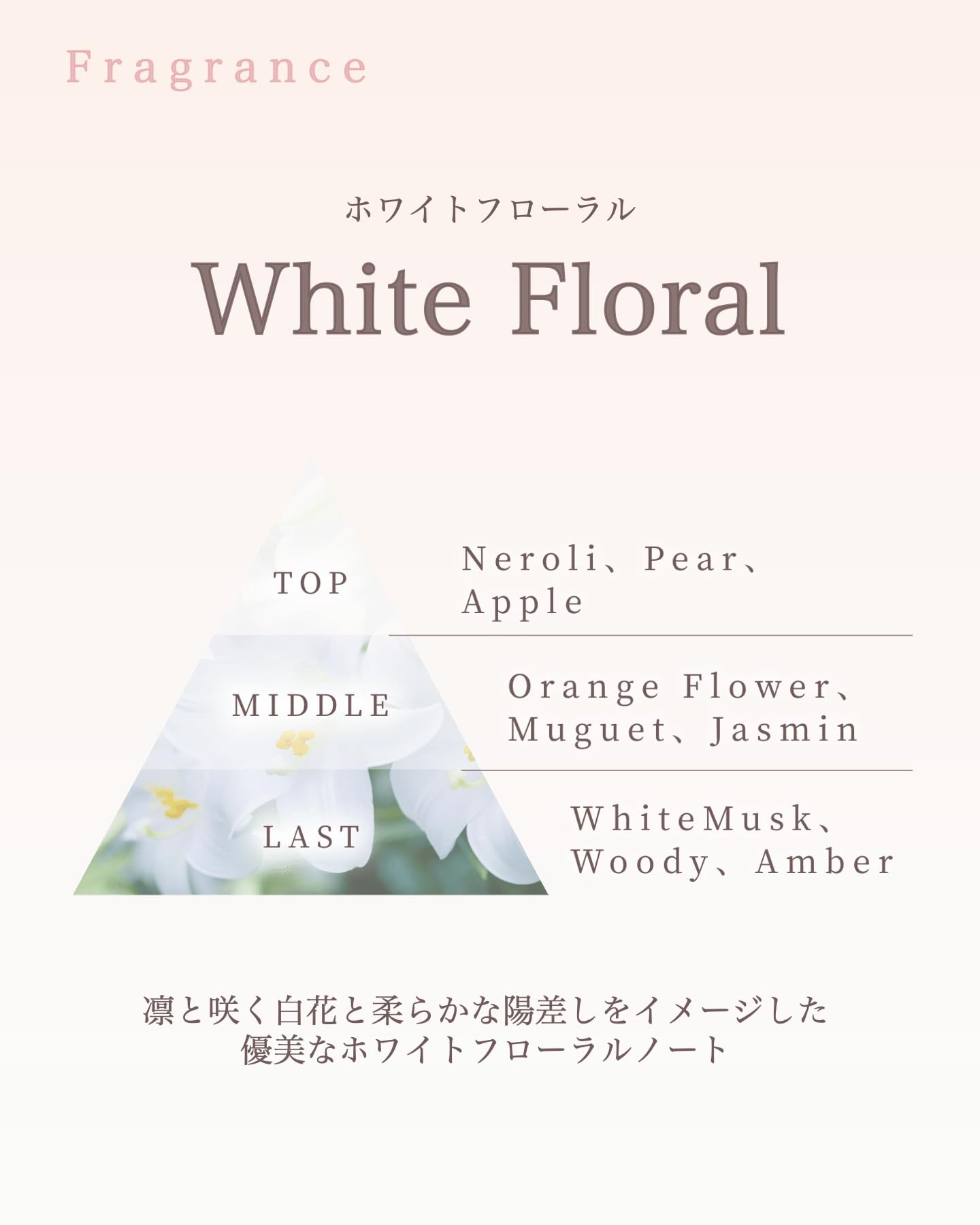 Amazon | プルント シャンプー トリートメント ヘアマスク セット