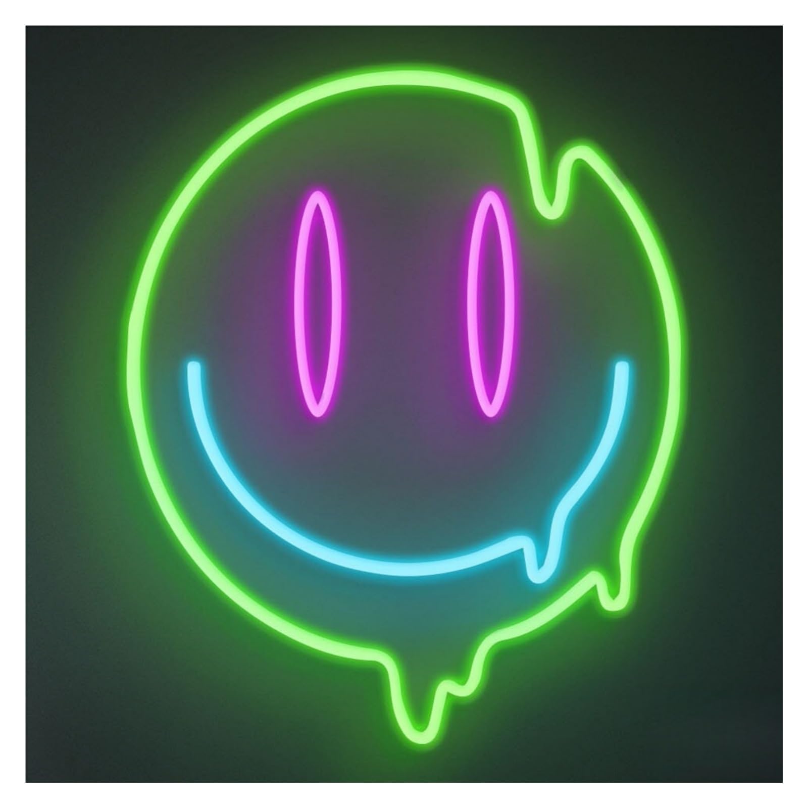 RONGCH Hanging Art Signs Smile Face Neon Sign, Suitable for Bedroom Decor with Brightness Adjustable 38cm