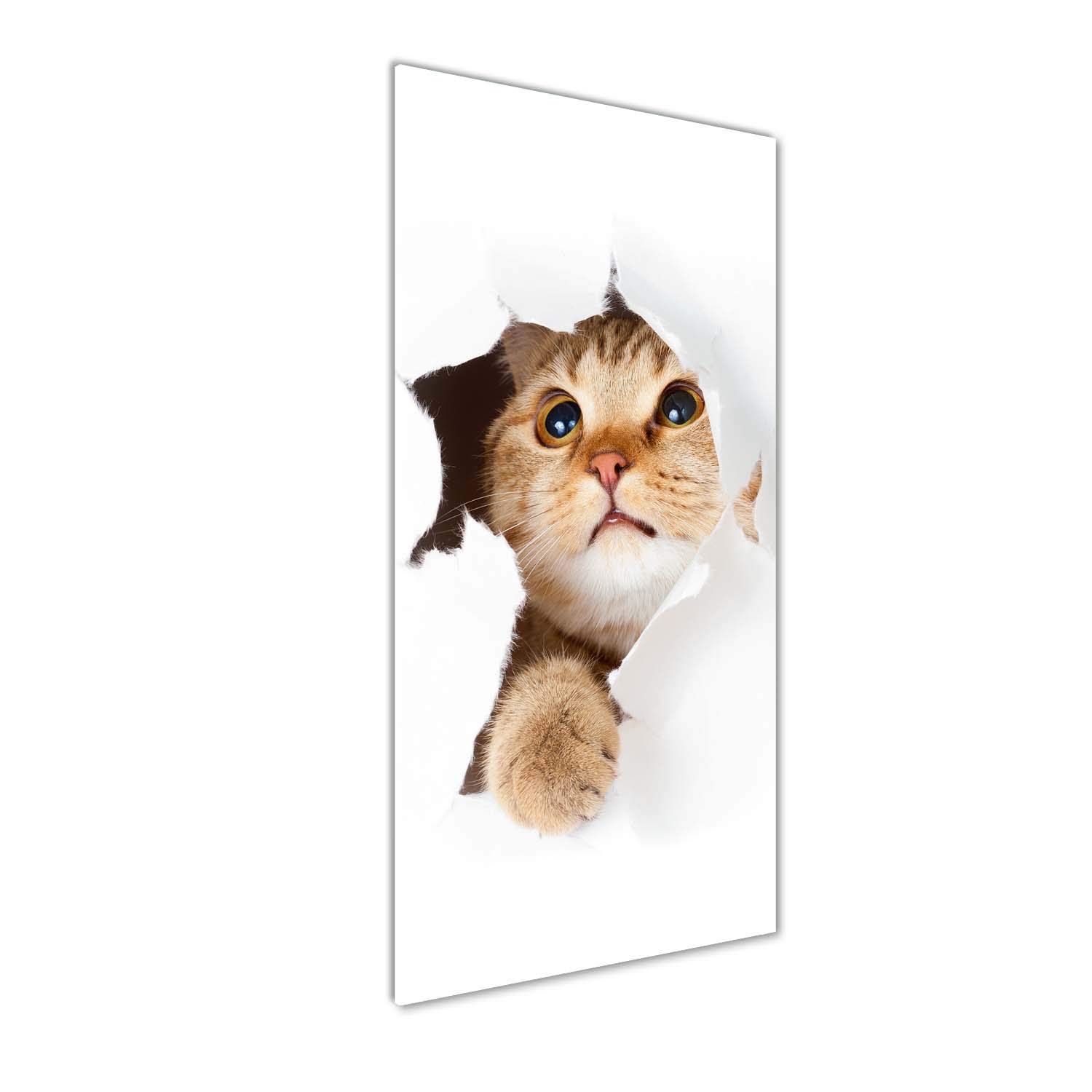 Tableau chat en verre acrylique Tulup 50x125 cm beige