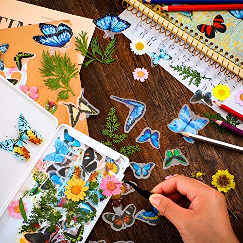 Set de Pegatinas Naturales Flores Secas Presionadas y Mariposas miniatura 7