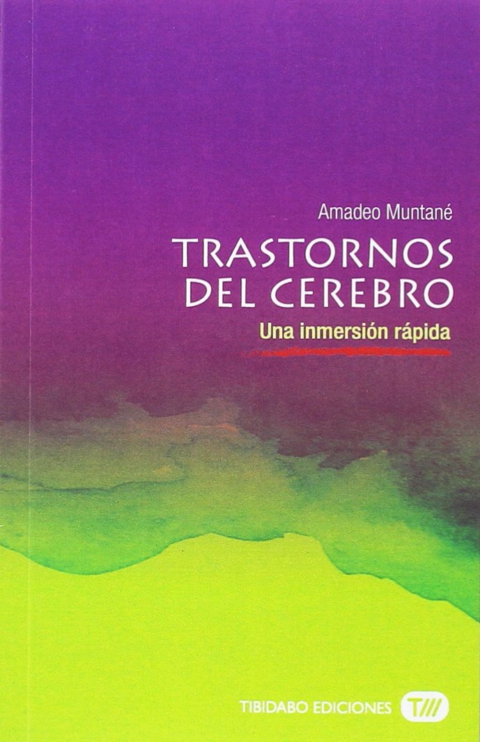 Trastornos del cerebro: Una inmersión rápida