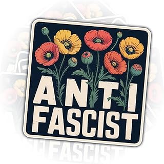 (3 Pcs) Anti Fascist Sticker, Political Statement Vinyl Decal for Water Bottle, Notebook, Phone Case, Gifts for Coworkers, Friends and Social Workers