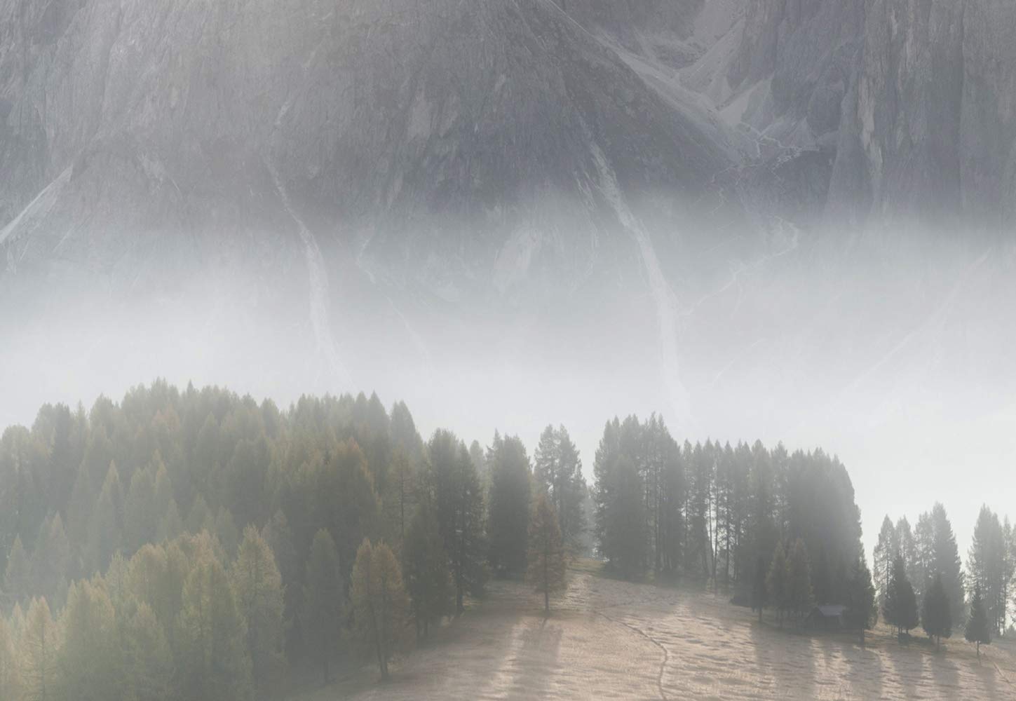 Idealdecor Digital 5351-4V-1 Mural, 368 x 254 cm