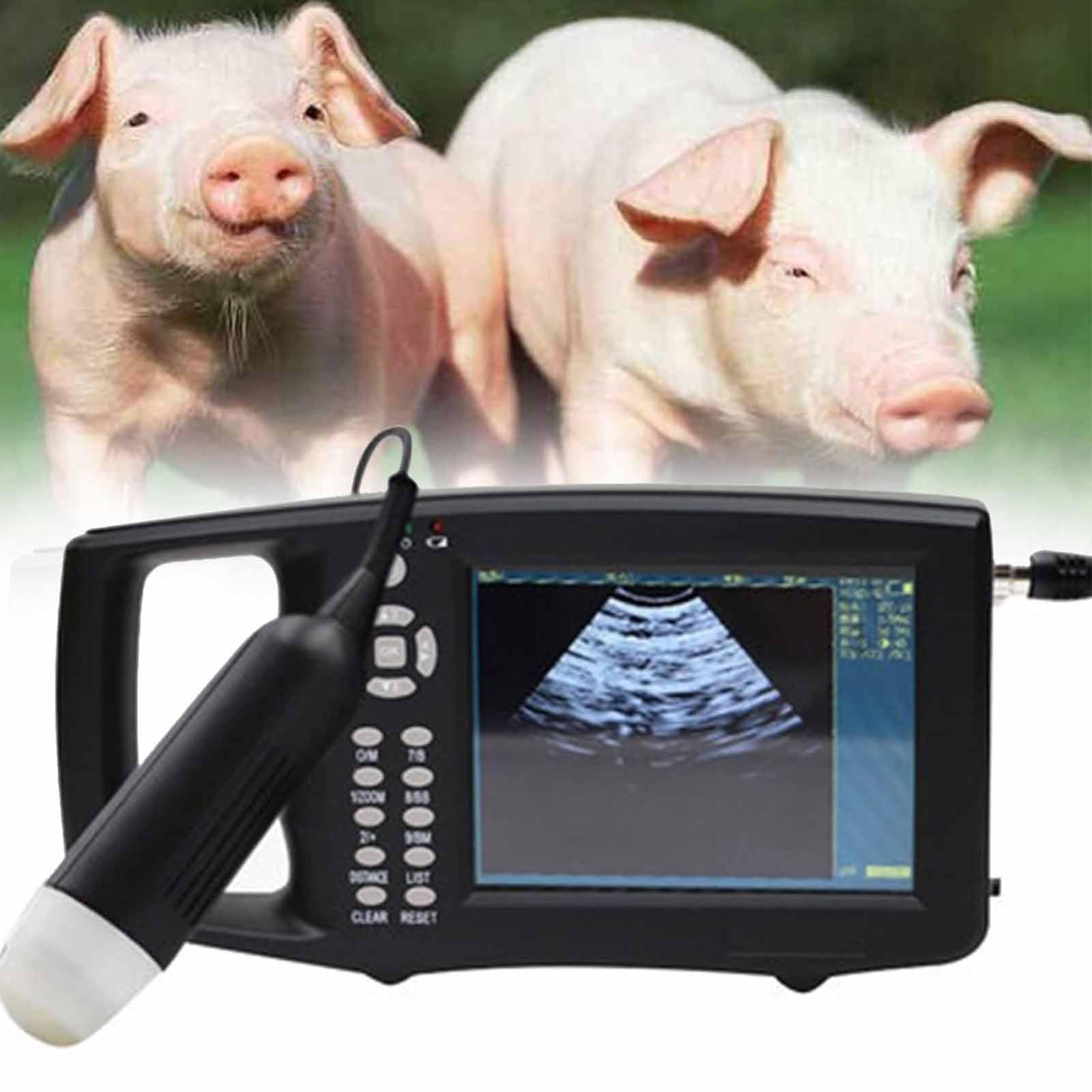 PixCy Scanner à Ultrasons Vétérinaire Portable Echographie Appareil Grossesse Machine à Ultrasons Vétérinaire avec Sonde 3,5 MHz,écran Couleur Tft 5,6 Pouces,pour Porcs Et Moutons
