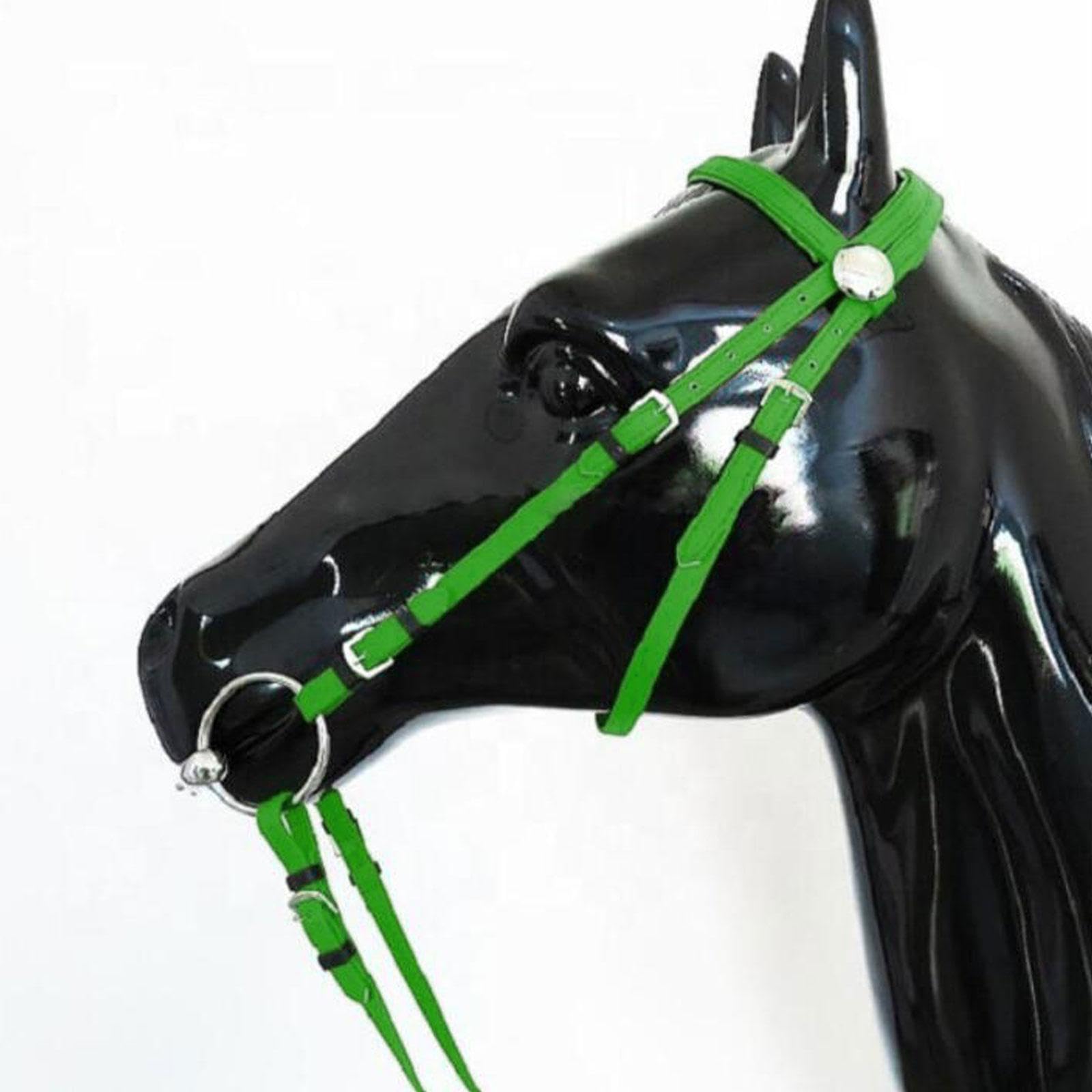 Fenteer Cabezada de Caballo con Rienda, Cabestro, Cuerda de Montar, Correa para La para Lecciones, Cursos, Senderos, Entrenamiento en Pist