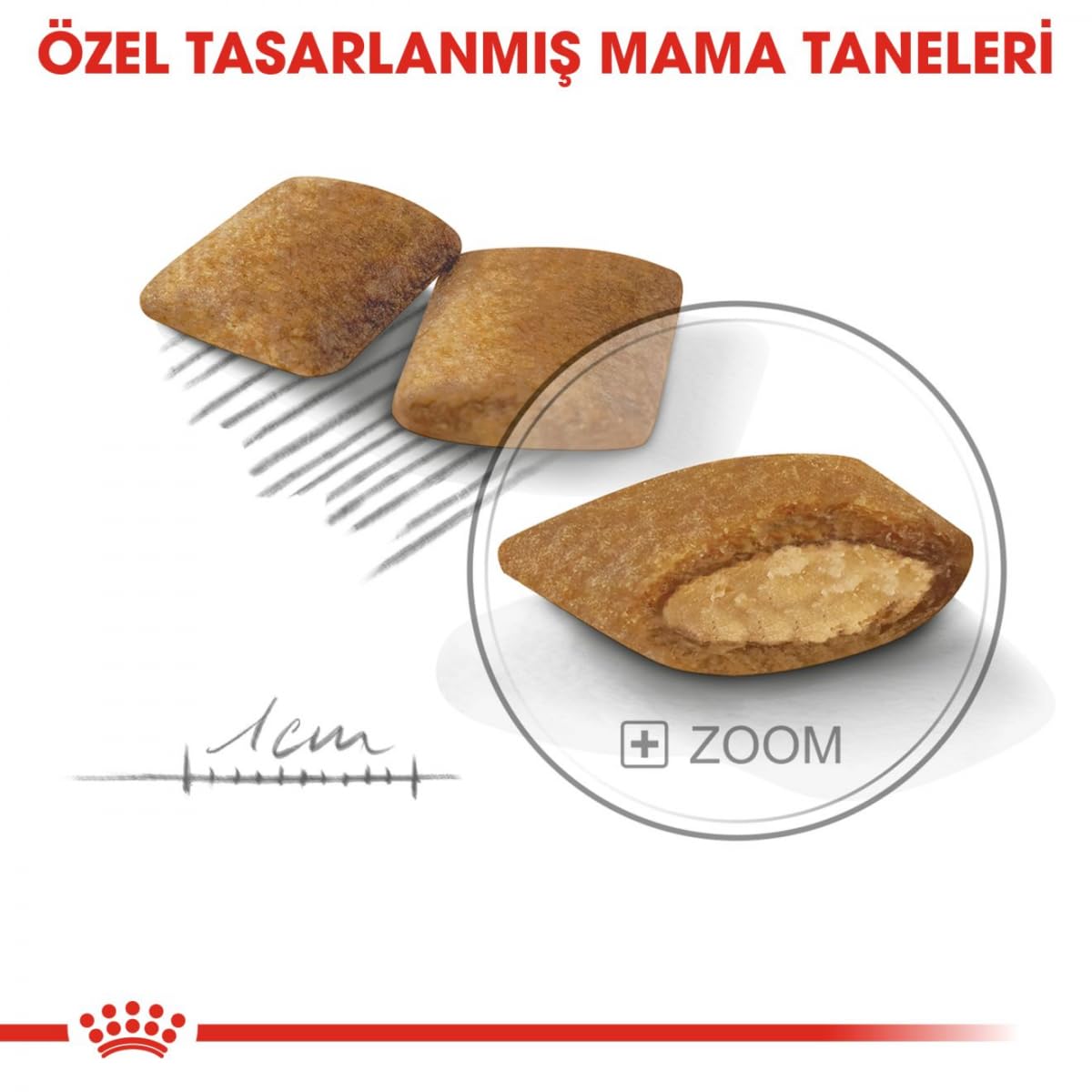Royal Canin Mini Demalent 3kg