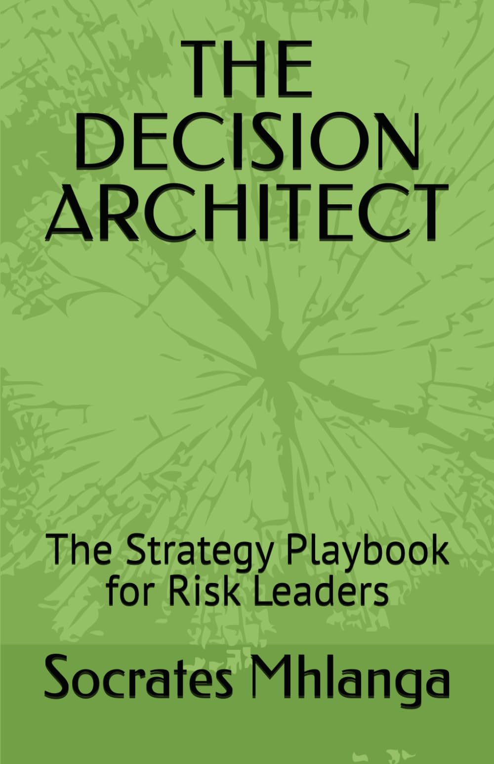 THE DECISION ARCHITECT: The Strategy Playbook for Risk Leaders