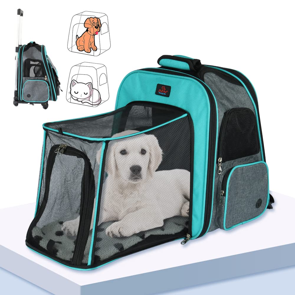 Sac de transport pour animal à roulettes : voyagez sereinement en train ou en ville avec votre chat