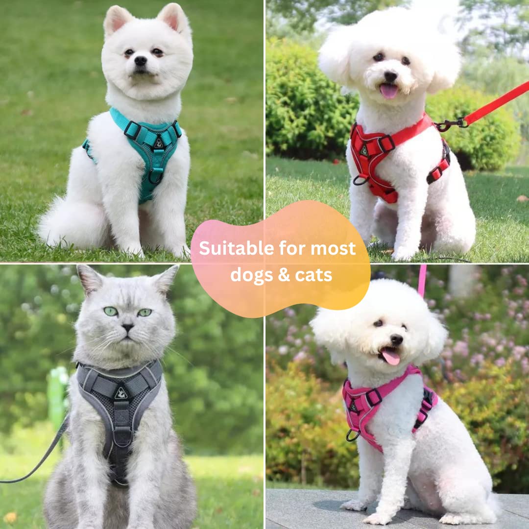 TruBest™ Small Dog Vest Harness | Puppy or Cat Vest Harness | Dog Harness with Nylon Leash | Soft & Breathable | Reflective Escape Proof | No Pull No Choke Harness (Medium, Red) 3