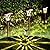 GIGALUMI Solar Lights Outdoor 6 Pack, Brown Solar Landscape Lights Warm White, Super Bright High Lumen Waterproof Metal Automatic Solar Lights for Yard, Pathway, Garden, Walkway