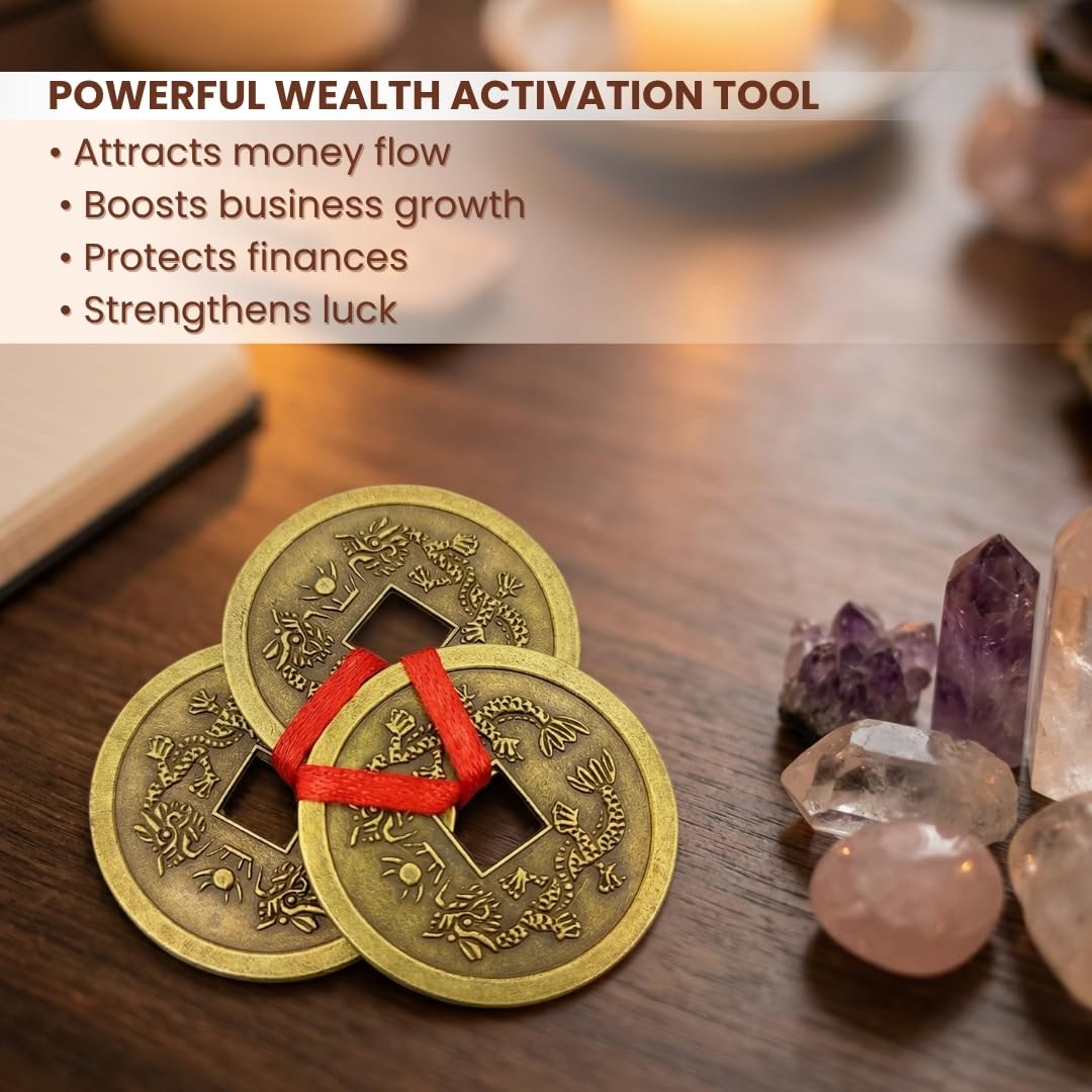 Plus Value Feng Shui Vastu Remedies Dragon Phoenix 3 Chinese Coins Set Brass Wealth, Prosperity, Money, Good Luck (Big Size) 2