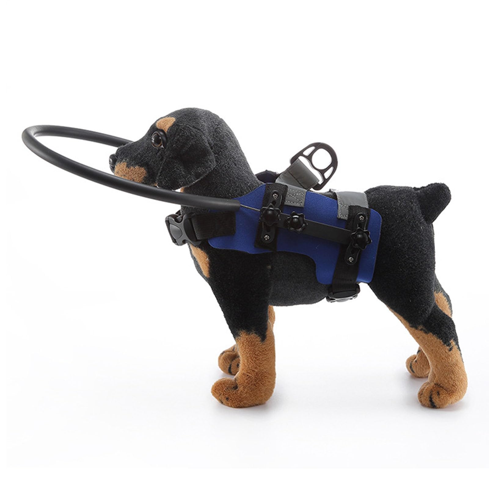 Amazon.co.jp: 盲目の犬用保護リング、盲目の犬用リングハーネス