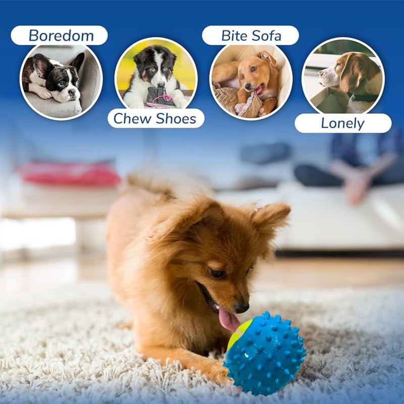 BohoBark Pet Training Ball Floatable Dog Pool Toy Dogs Chew Spiky Ball for Puppy, Ideal for Medium and Small Dogs Teeth Cleaning Supplies 4
