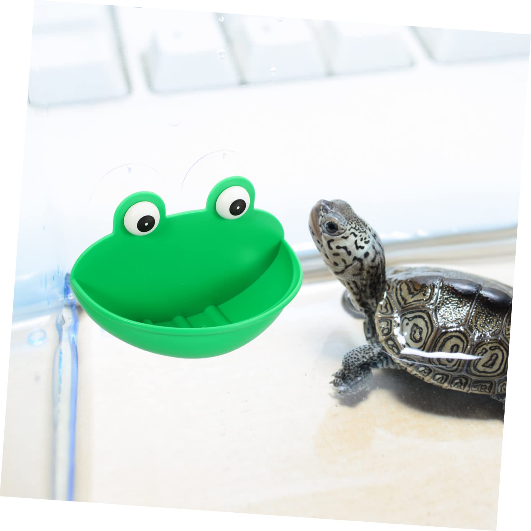 DOITOOL 6piezas Plataforma Decorativa para Reptiles Descanso y Alimentación Terrario Soporte Multifuncional para Reptiles y Mascotas Accesorios Seguros y Duraderos para Terrarios