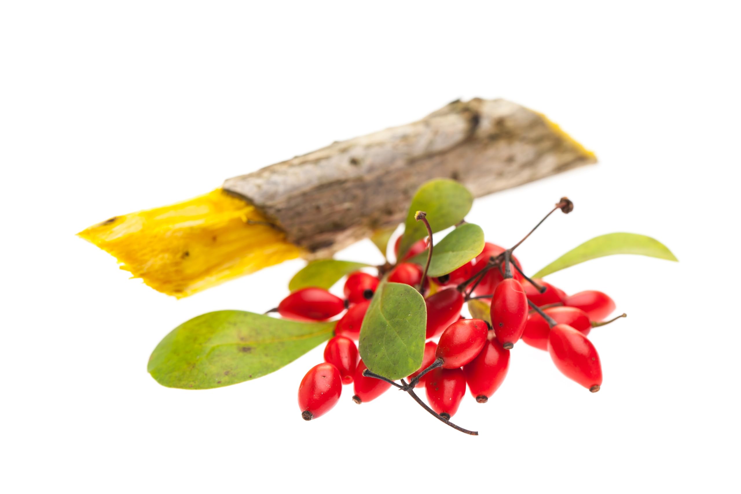 Berberina HCL REBERSA (Berberis aristata) - 500 mg por dosis diaria - Vegano - Sin estearato de magnesio - 300 cápsulas vege KENAY EUROPE