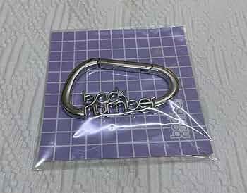 back number ロゴ 別注カラビナ 2種類セット  未開封 back number ロゴ 別注カラビナ 2種類セット 未開封の通販 by