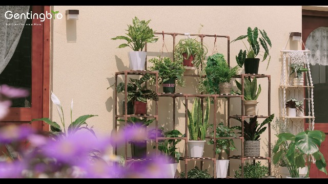 Amazon.com : GENTINGBRO Plant Stand Indoor Outdoor 63