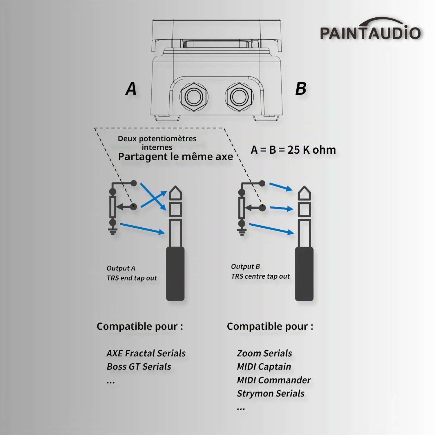 Paint Audio Foot Captain Pédale d'expression multi-effets compatible avec connexion pointe/anneau (Foot Captain-SWM)
