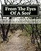 From The Eyes Of A Seer