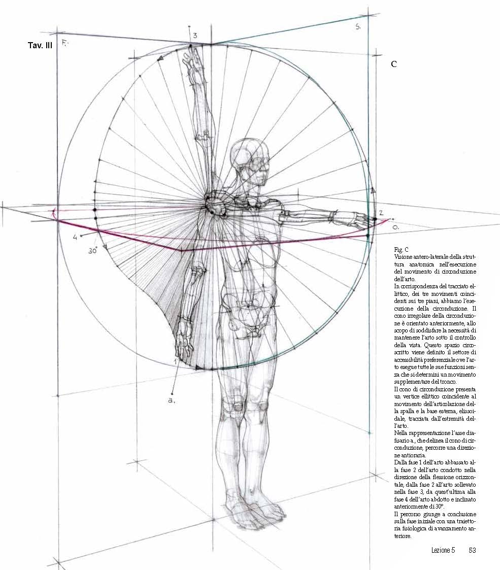 Struttura uomo in movimento. Manuale di anatomia artistica