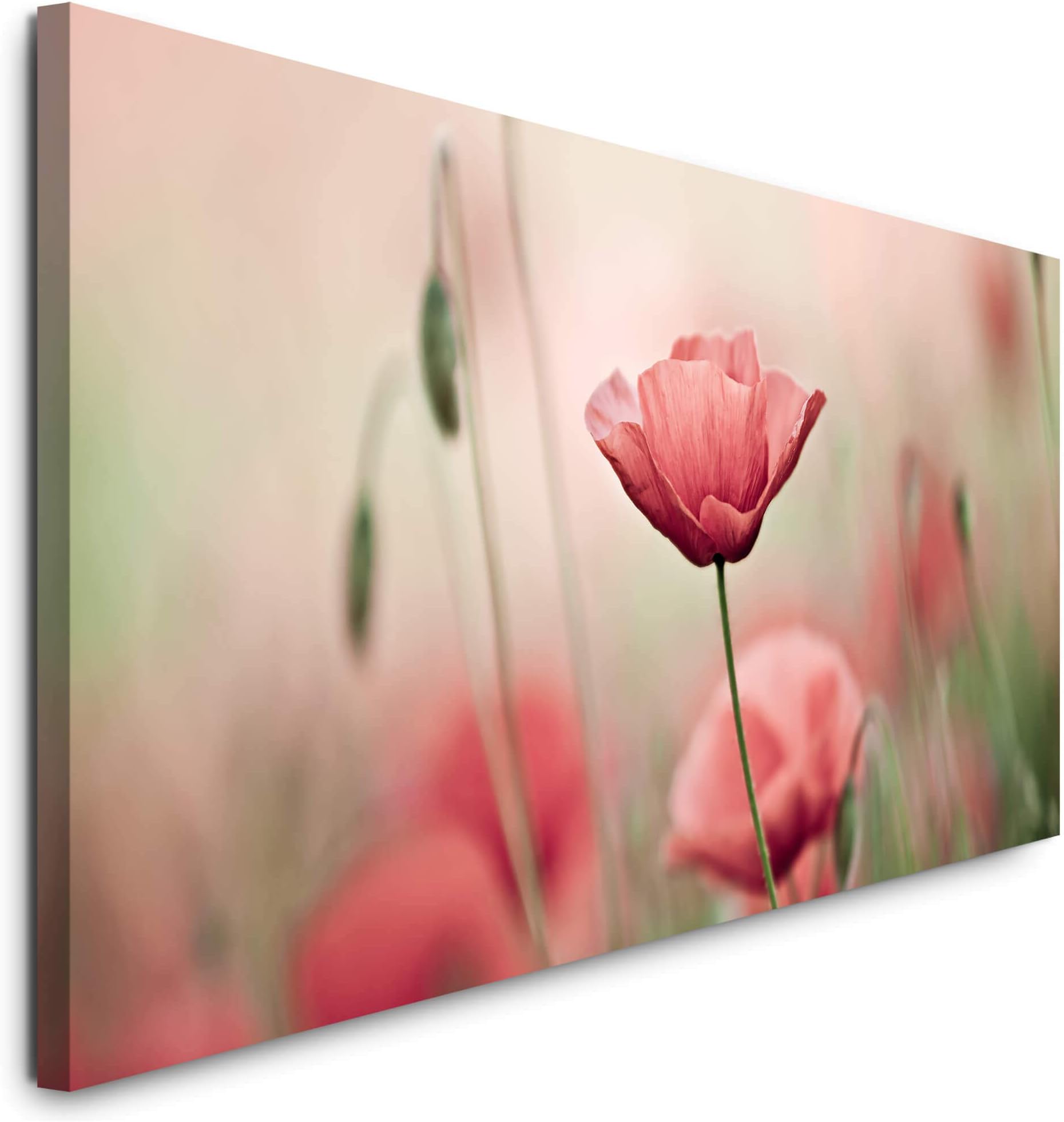 ARTland Wandbild Alu-Dibond 50x50cm - Mädchen Mit Perlenohrring Für Innen & Outdoor