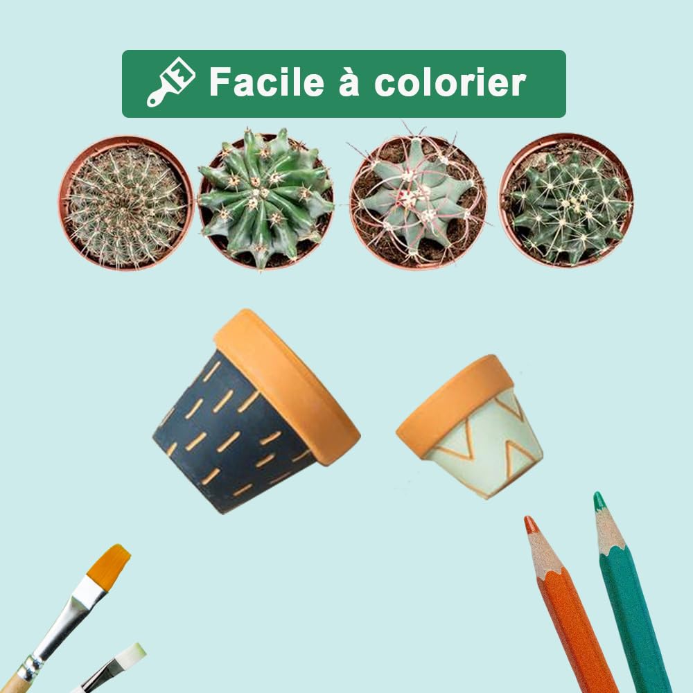 Lot de 12 Pots en Terre Cuite avec Soucoupe - 7,6 cm - Pots en Argile - Pots de Fleurs en céramique - Pots de Fleurs succulentes - Parfaits pour Les Plantes, Les travaux manuels