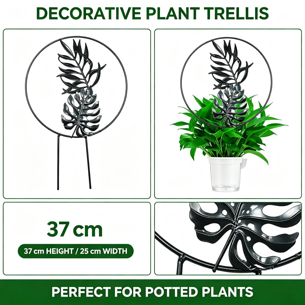 Estructura Metal Escalada Plantas 27x25cm para soporte Hierro