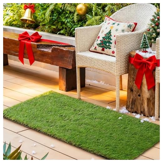 61i5EXGh-pL._SS520_ Best artificial grass rugs