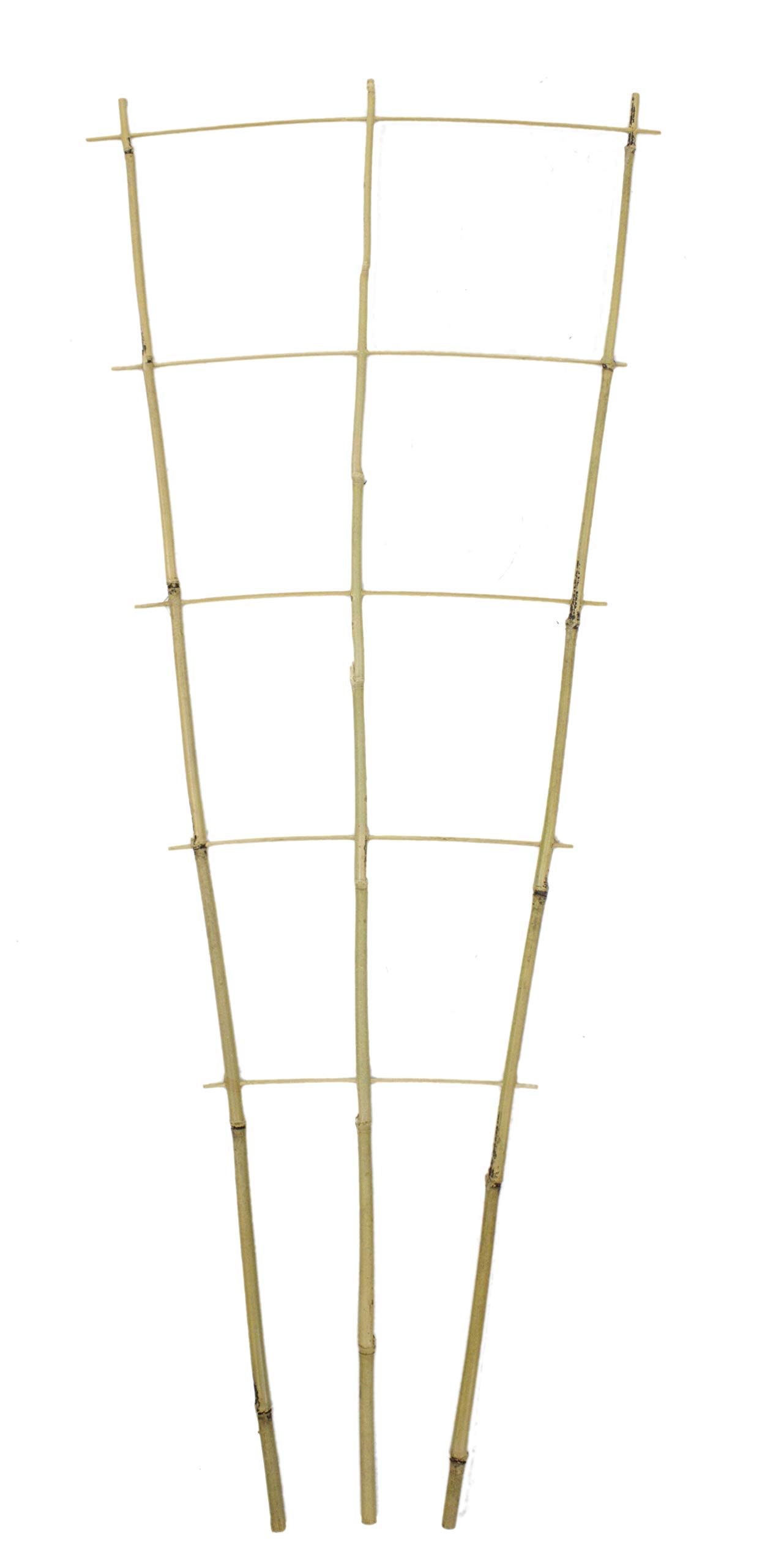 DARO DEKO Bambusrohr Rankgitter 44 x 110cm 10 Stück