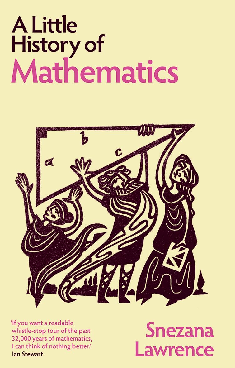 A Little History of Mathematics (Little Histories)
