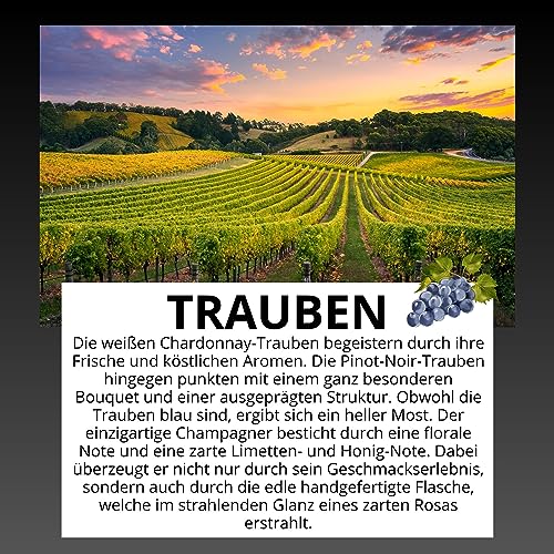 Brut Champagner Rose - D. Rock | 50% Pinot Noir 45% Chardonnay 5% Pinot Mineur - Bouzy Redwine | Regional geerntete Trauben | Sekt 0,75l | Französisches Rose Champagner | 2 Jahre gereift | Rose Sekt
