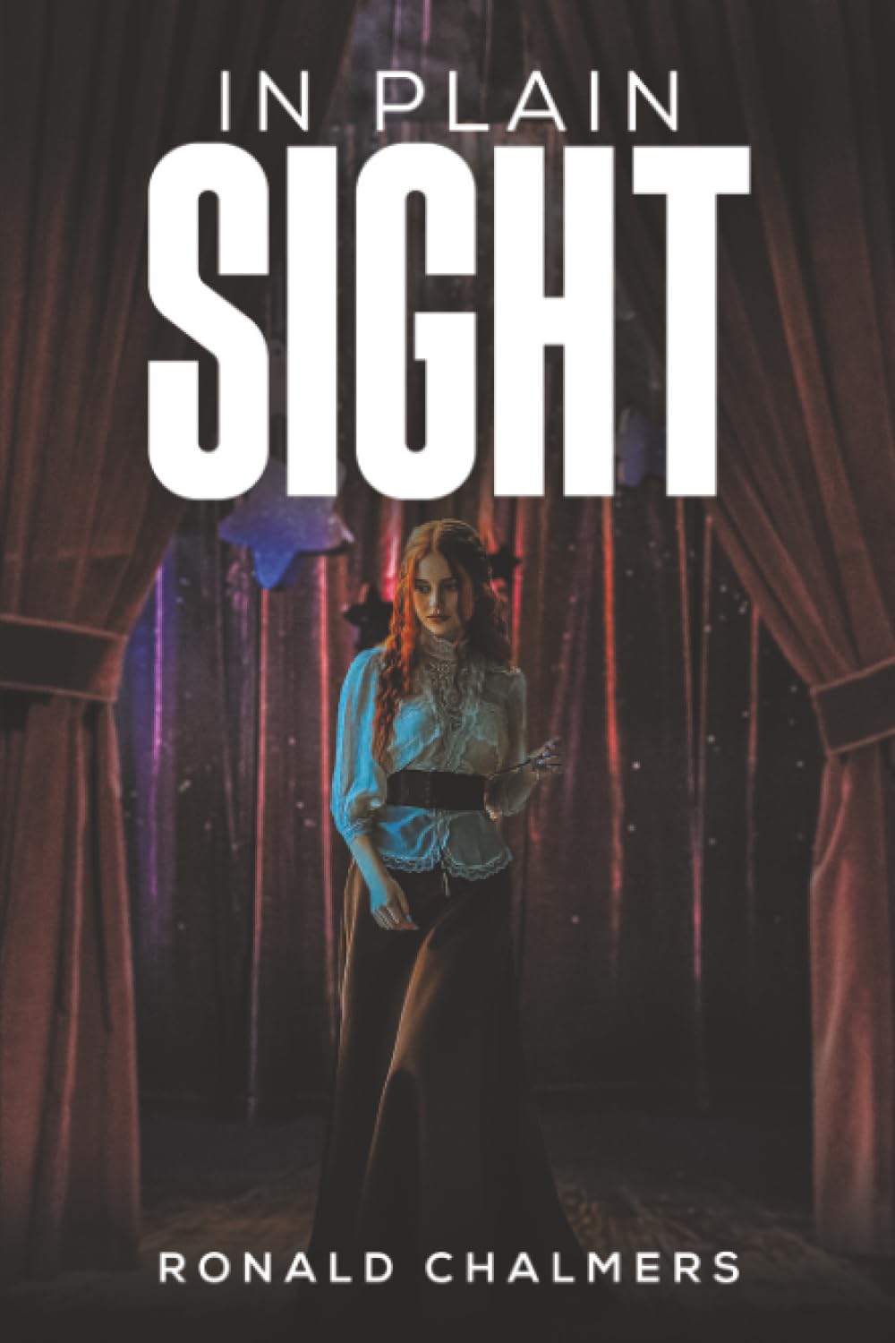 In Plain Sight by Ronald Chalmers (Paperback Book)