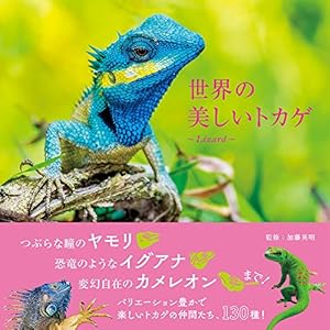 世界の美しいトカゲ』｜感想・レビュー - 読書メーター