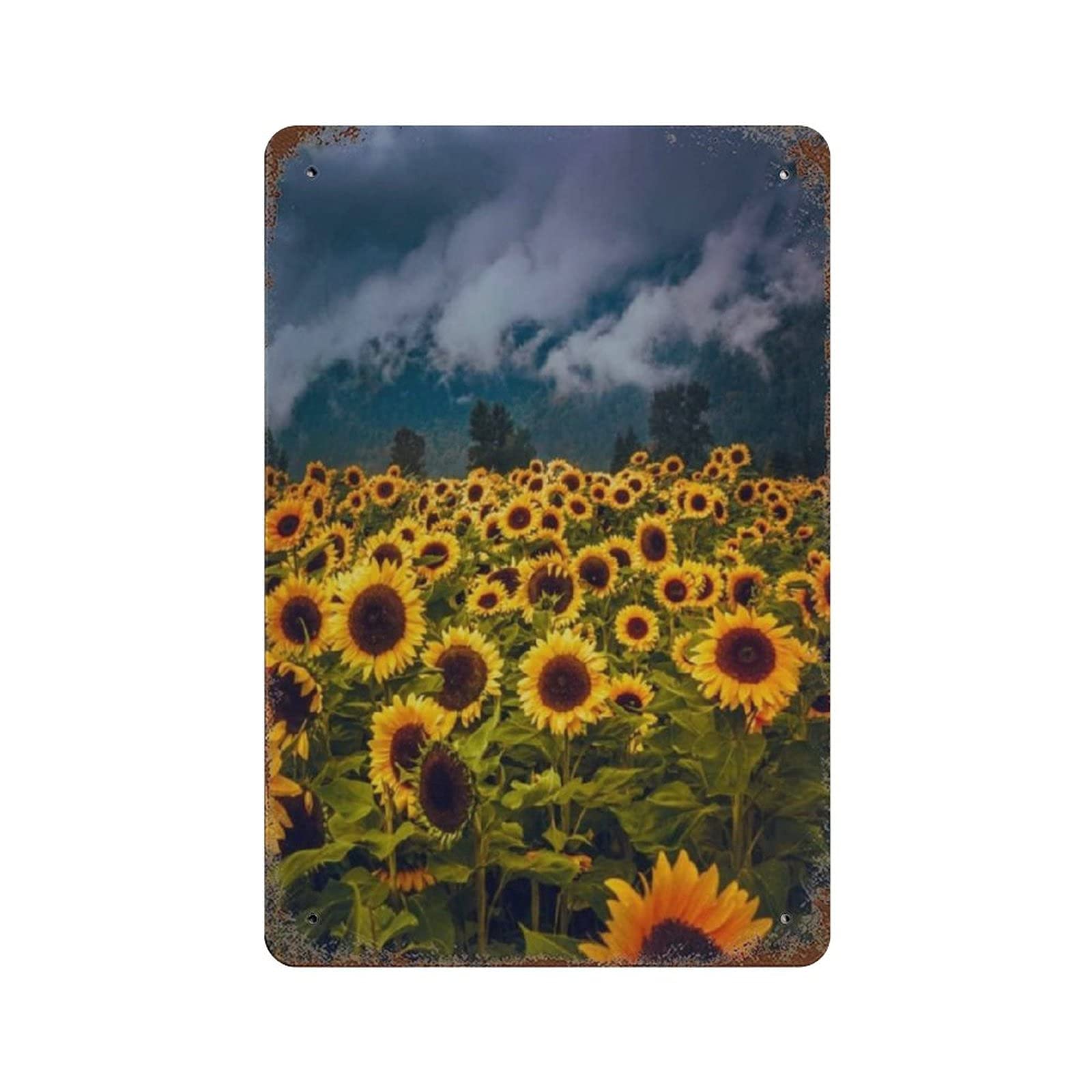 Sunflowers Field Metal Signs, Fun Poster For Bar Kitchen Cafe Farmhouse Wall Decor 12x8 Inch