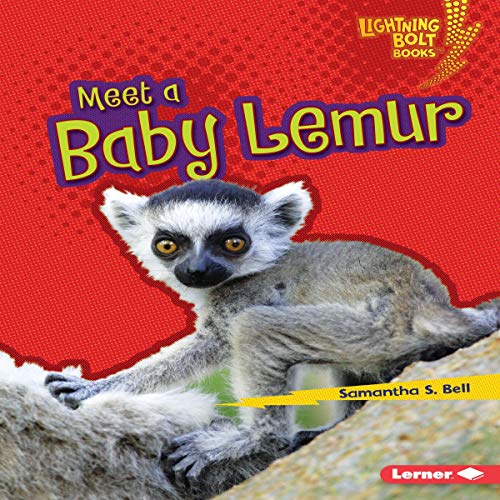 Meet a Baby Lemur by Samantha S. Bell episode artwork